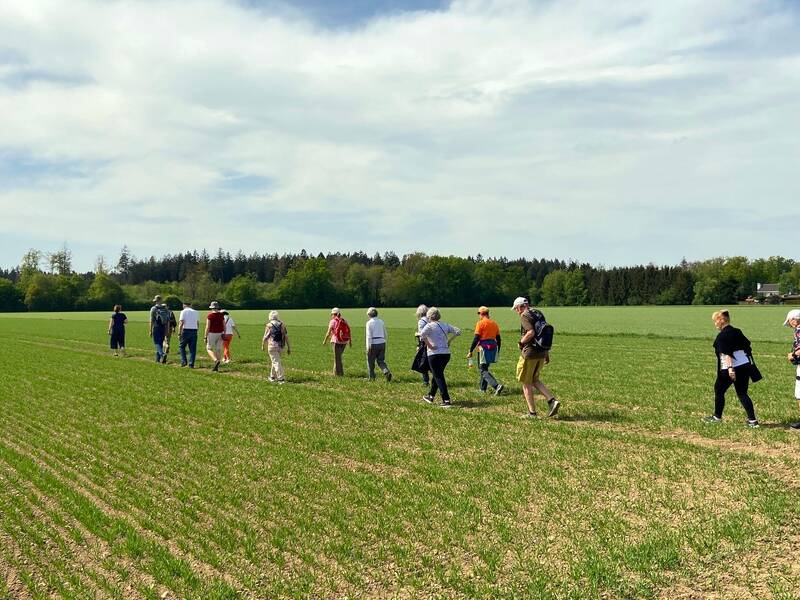 Feldweg mit wandernden Senioren bei blauem Himmel. Im oberen Bildteil ist das Logo vom Senioren Stützpunkt zu sehen