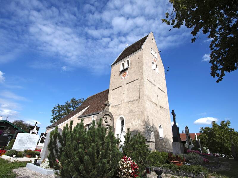 Das Bild öffnet den Blick auf einen massiven von Vögeln umrundeten Kirchturm. 