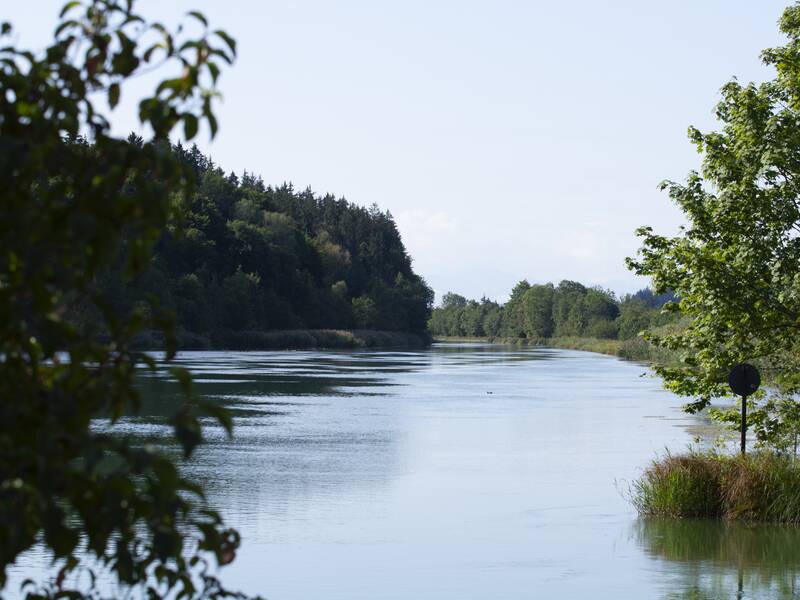 Eine sommerlichen Flußlandschaft, umgeben von einem sattgrünen Wald.