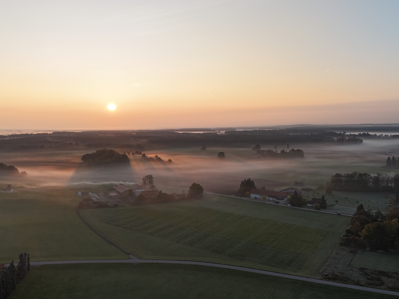 Ein kleiner Ortsteil mit eine paar Bäumen die von Nebel verhüllt sind. 
