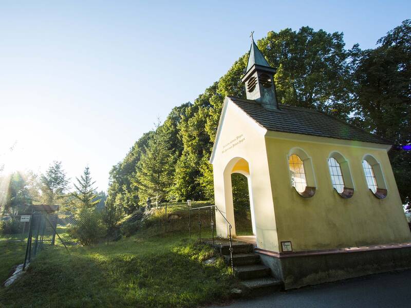 Eine kleine, gelbe Kapelle mit einem Glockenturm steht in einer sonnendurchfluteten Waldlandschaft.