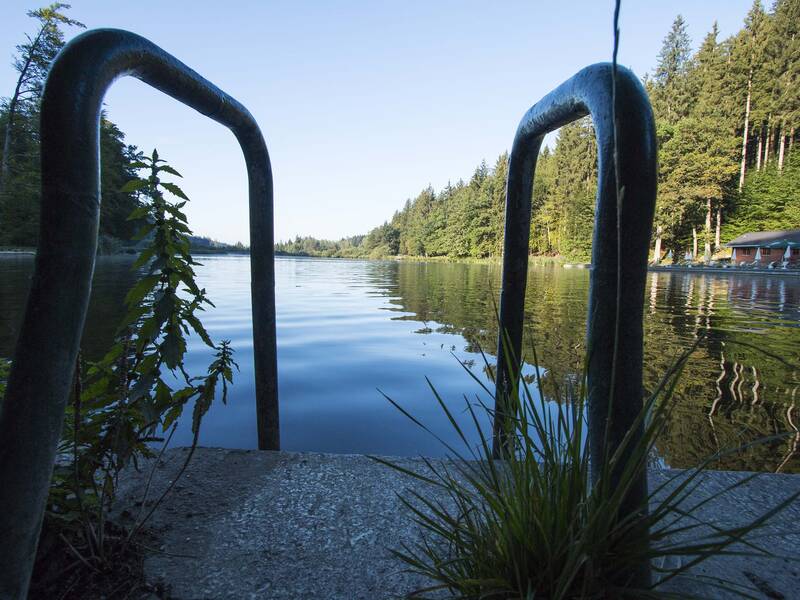 Ein gepflasterter Steg mit Metallgeländer führt zu einem ruhigen See, der von einem dichten Wald umgeben ist.