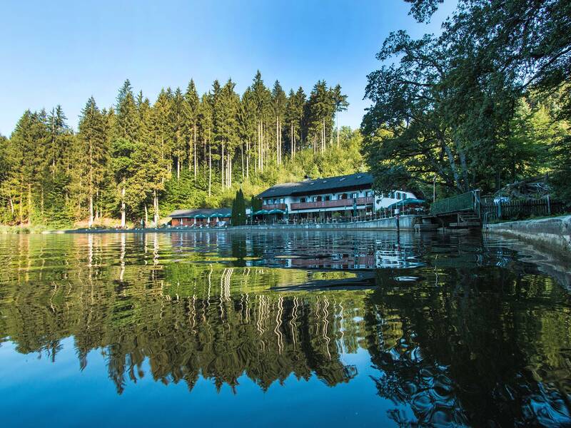 Eine gemütliche Lodge liegt am Ufer eines ruhigen Sees, umgeben von dichtem Wald.