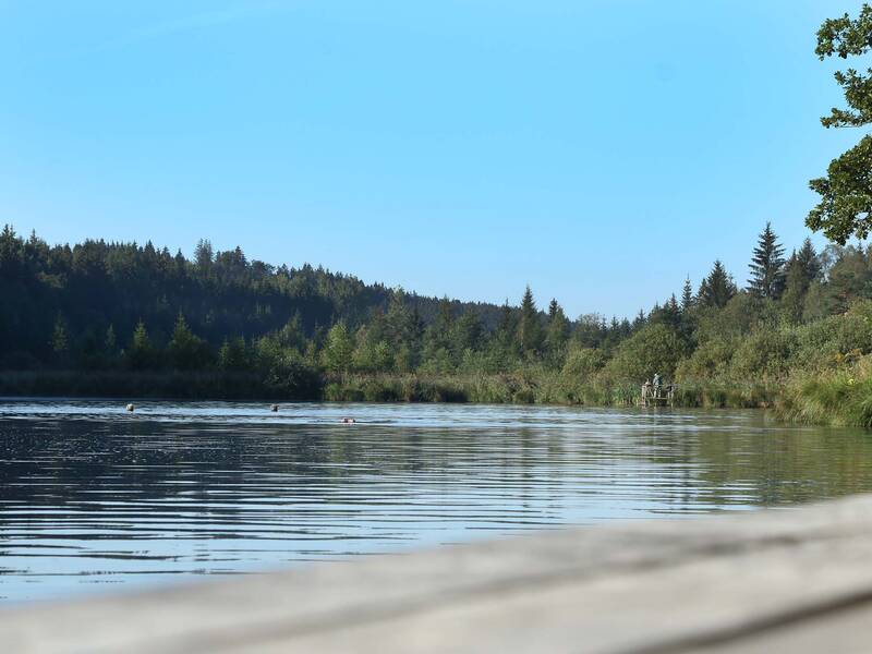 Ein ruhiger See mit vereinzelten Schwimmern ist von dichten Wäldern und Bäumen umgeben.