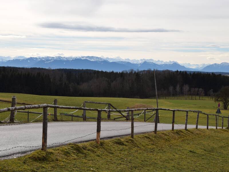 Eine ländliche Straße mit Holzzaun führt durch grüne Wiesen, mit einem bewaldeten Gebiet und einer schneebedeckten Bergkette im Hintergrund.
